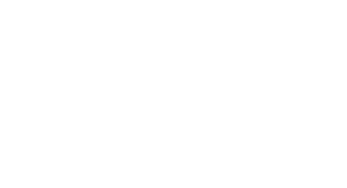 Performance Partners
